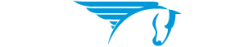 Logo Contado