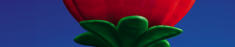 adv Floritalia