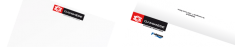 Ganimede corpor