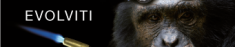 Evolviti