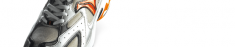 L\'Evoluzione della Specie