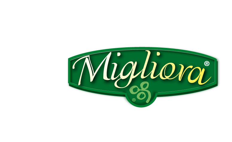 marchi e logotipi